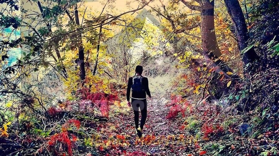 SENDERISMO EN FUENTES DEL NARCEA 