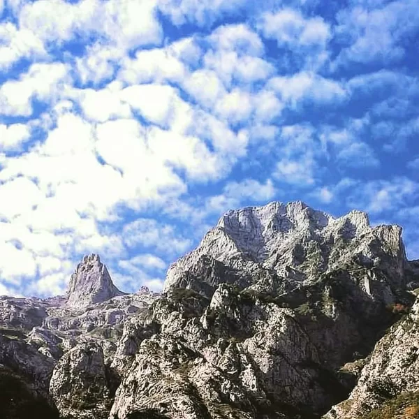Picos de Europa