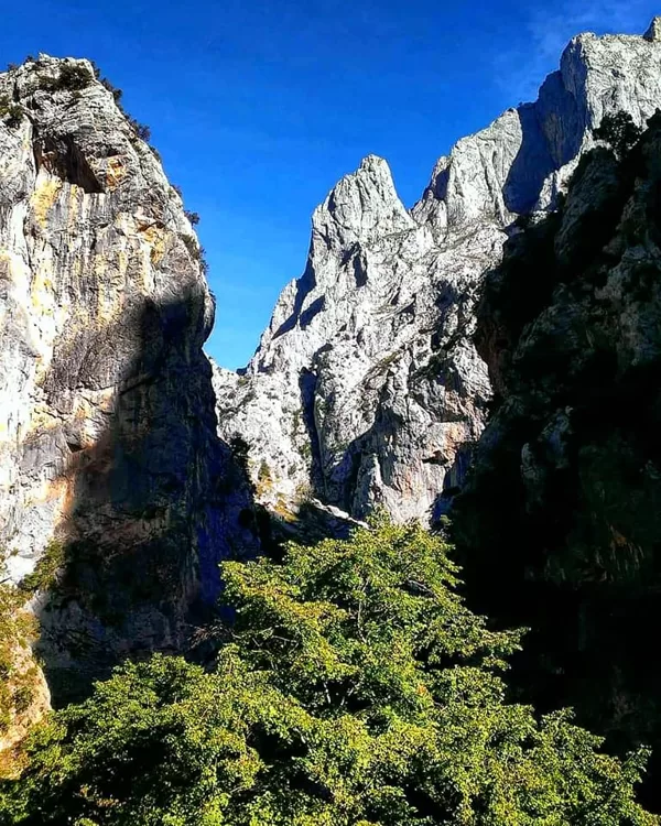 Poncebos